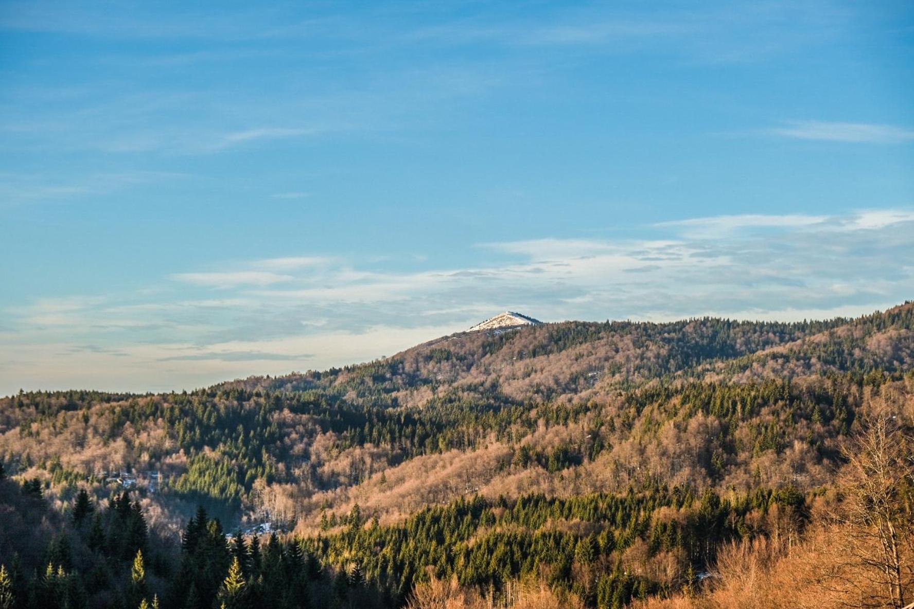 Vila Cajetinski Biser -Apartment Lux Kopaonik Luaran gambar