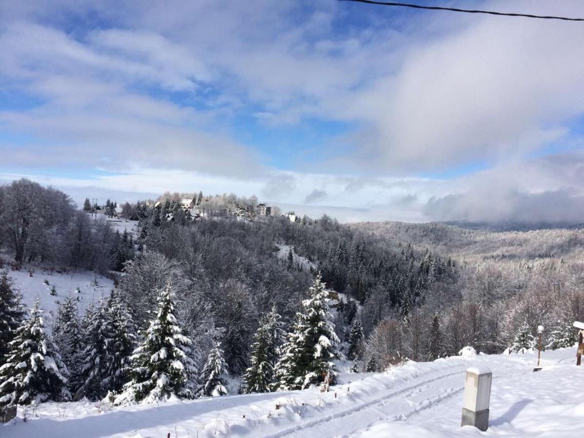 Vila Cajetinski Biser -Apartment Lux Kopaonik Luaran gambar